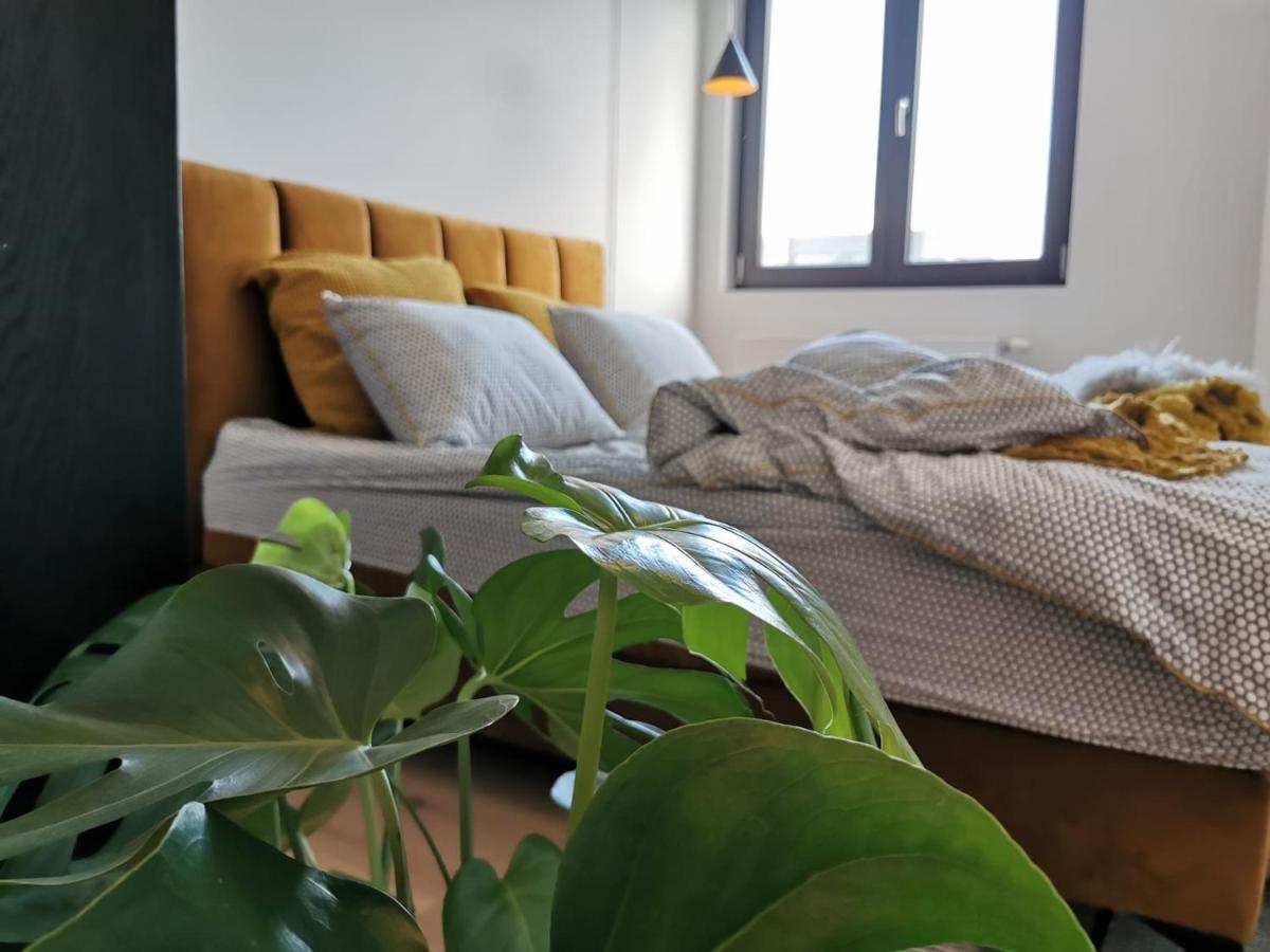 Apartamento The Penthouse, Oasis Of Light And Inspiration Amberes Exterior foto